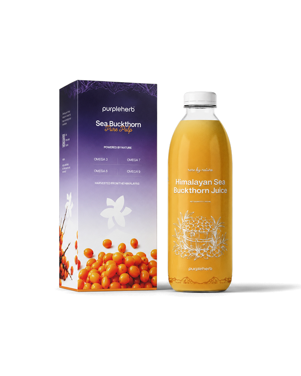 Sea Buckthorn Pure Pulp
